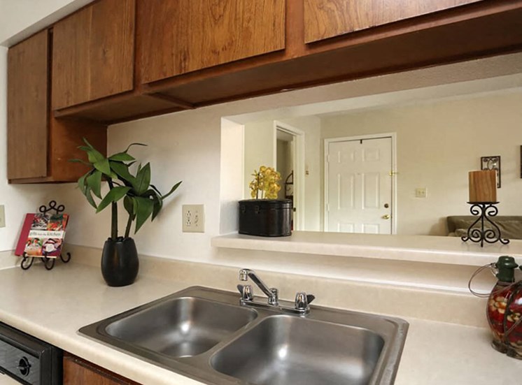 Double Kitchen Sink in Apartment